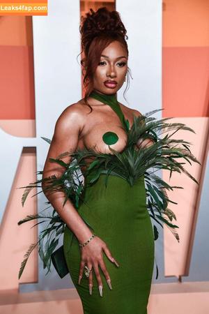 Megan thee stallion photo #0745