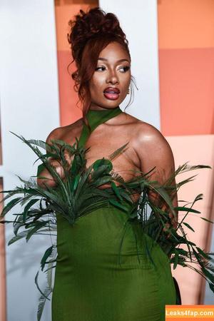 Megan thee stallion photo #0749