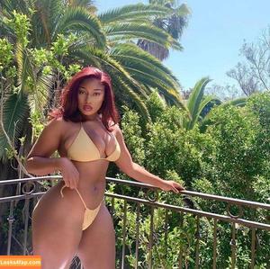 Megan thee stallion photo #0775