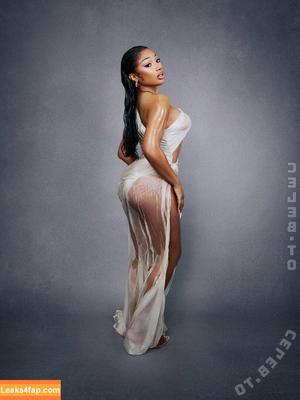 Megan thee stallion фото #0901