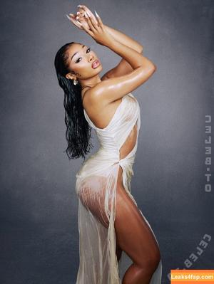 Megan thee stallion фото #0905