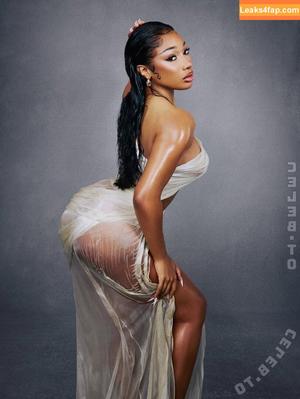 Megan thee stallion фото #0906