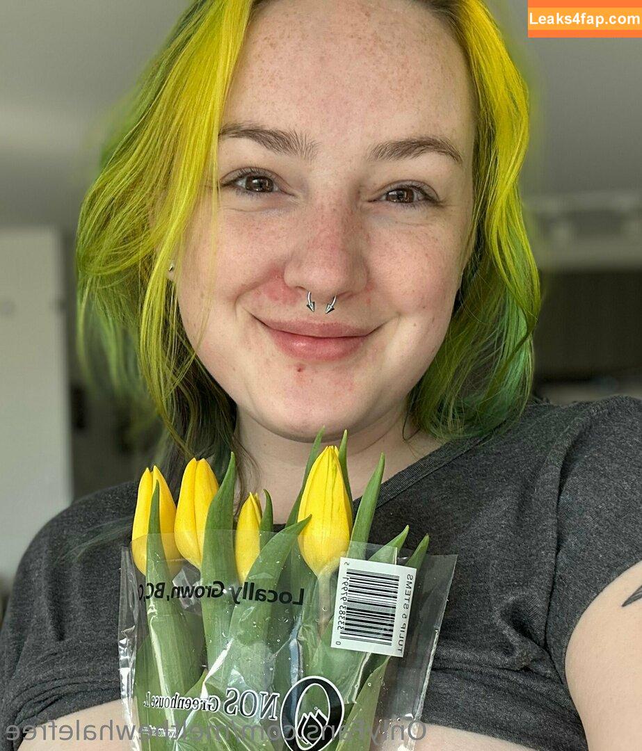 melthewhalefree / melthewhale leaked photo photo #0007