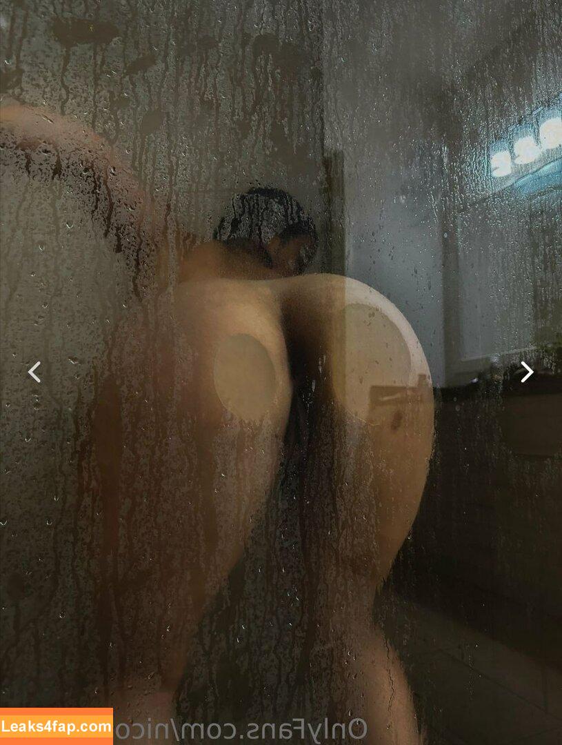 Nicole Marie / coleycole1 / nickimariiee / nicomarie96 leaked photo photo #0030