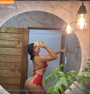 pamelitahot photo #0023