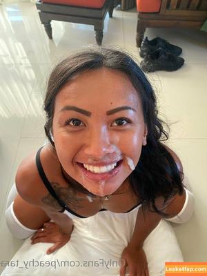Peachytara photo #0045