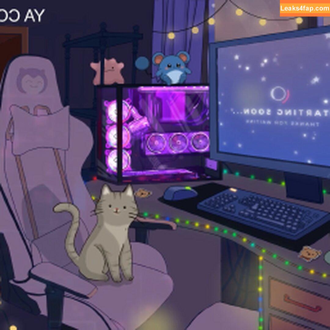 Pekeasmr / Eve_Pekexx / Evelin / ttv_pekexx leaked photo photo #0021