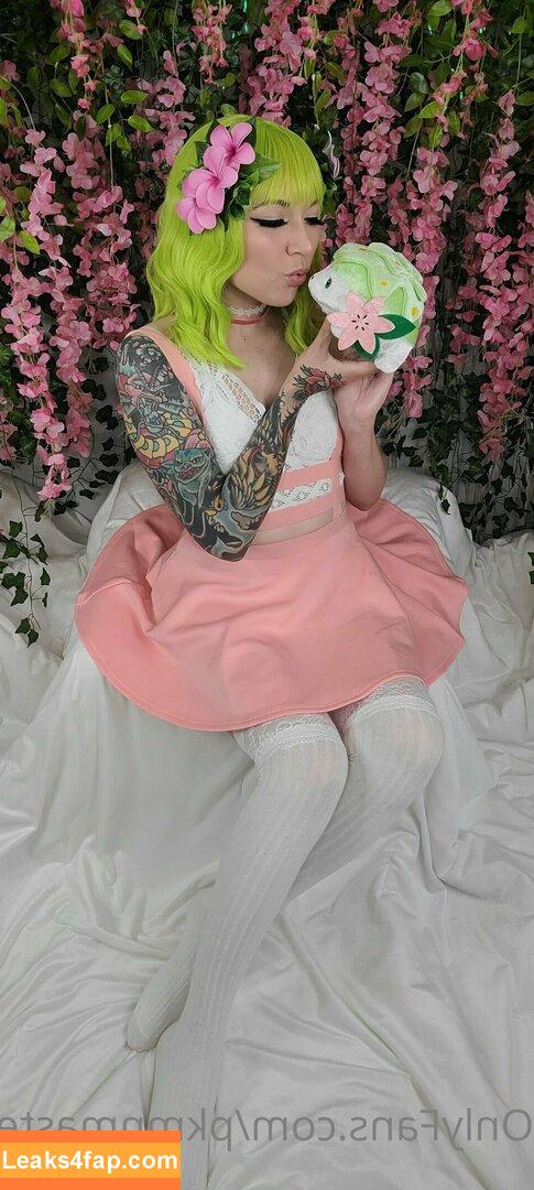 PkmnMasterHolly слитое фото фото #0009