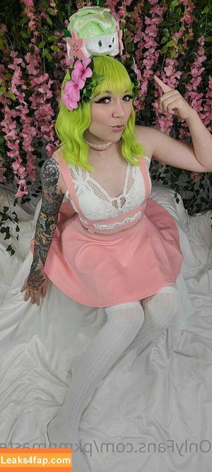 PkmnMasterHolly фото #0013