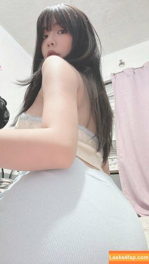 Risanomsyu photo #0004
