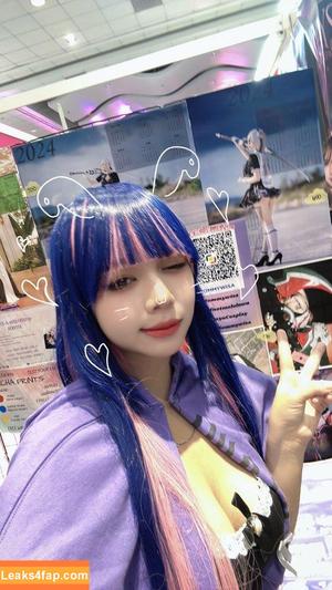 Risanomsyu photo #0040