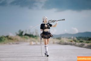 Risanomsyu photo #0132
