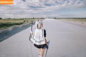Risanomsyu photo #0138