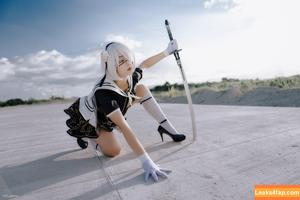 Risanomsyu photo #0141