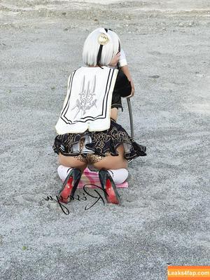 Risanomsyu photo #0144