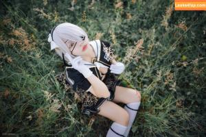 Risanomsyu photo #0145