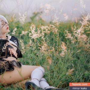 Risanomsyu photo #0146