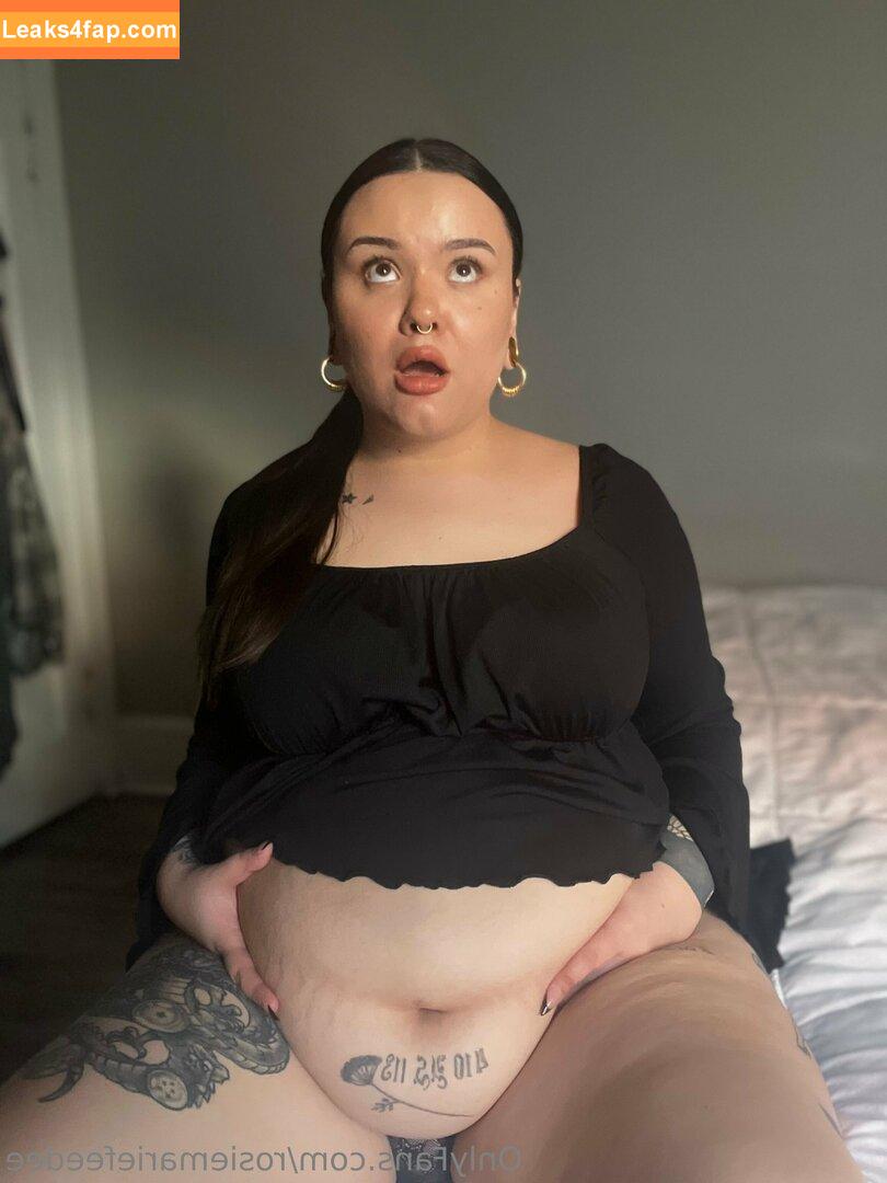 rosiemariefeedee / rosiemarie leaked photo photo #0060