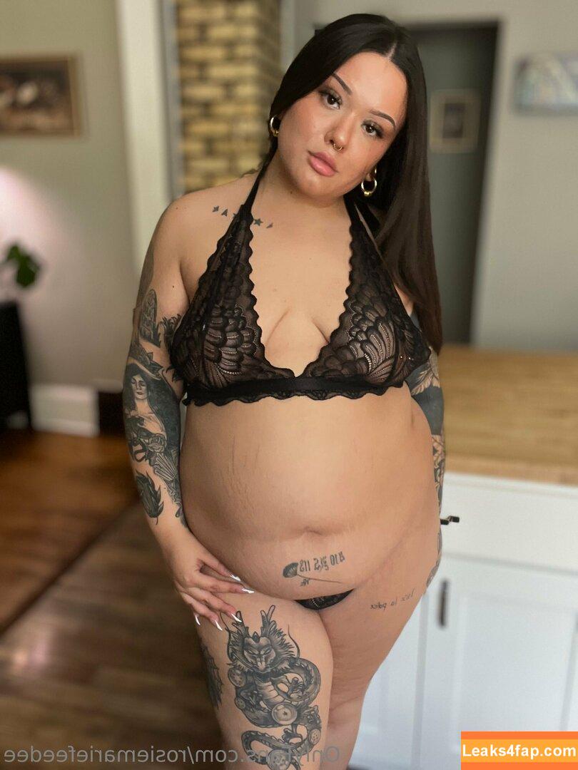 rosiemariefeedee / rosiemarie leaked photo photo #0091