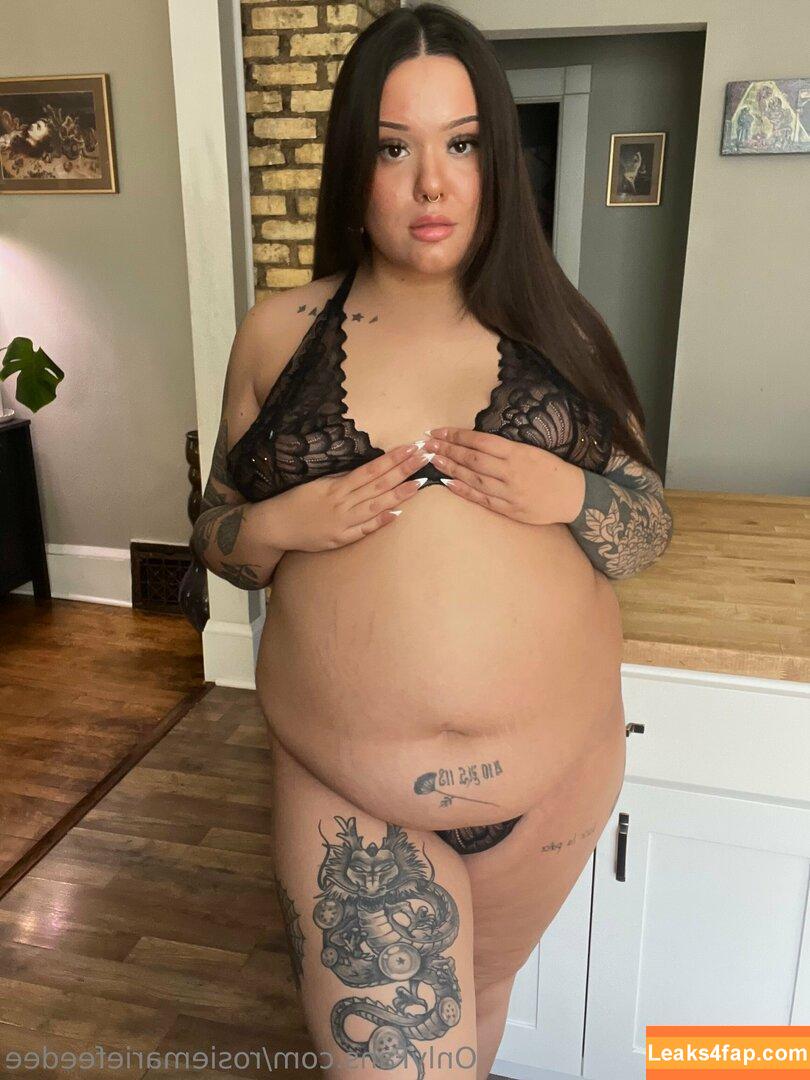 rosiemariefeedee / rosiemarie leaked photo photo #0092