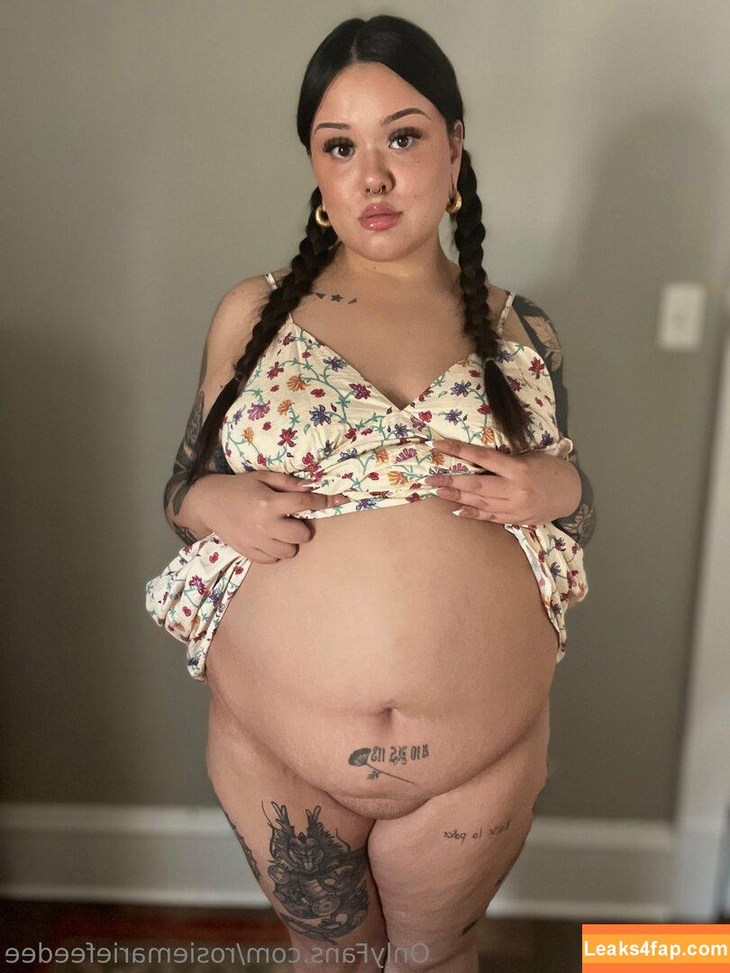 rosiemariefeedee / rosiemarie leaked photo photo #0109