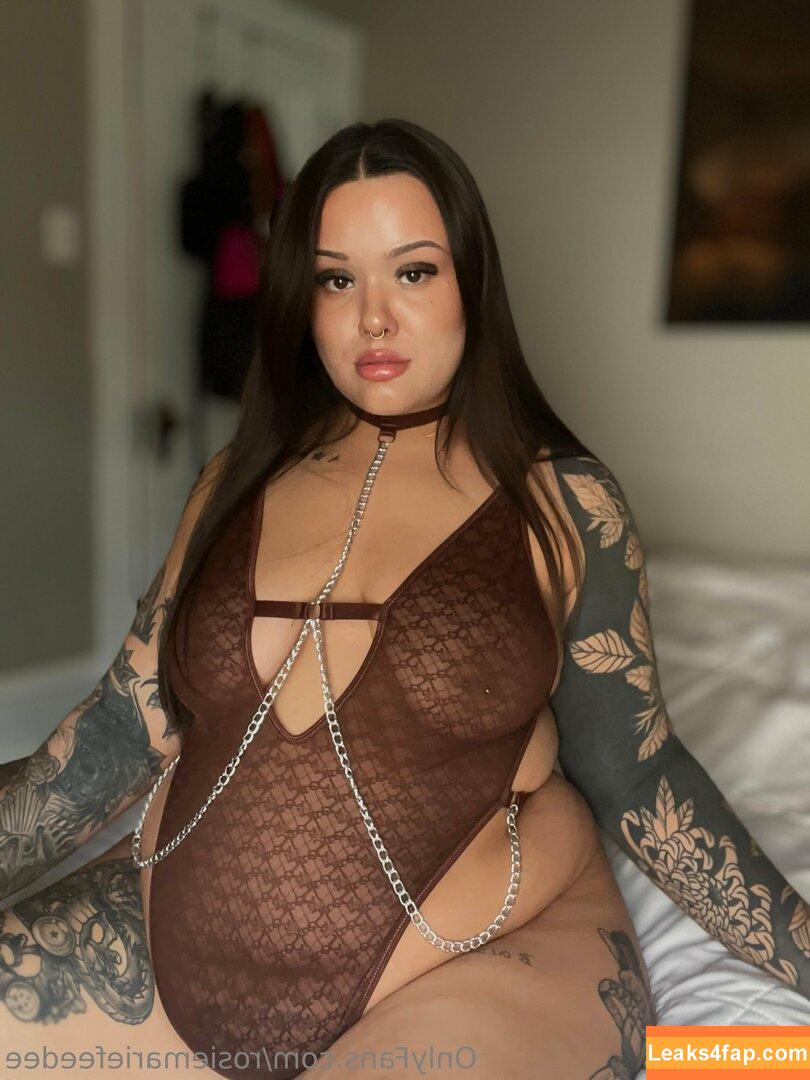 rosiemariefeedee / rosiemarie leaked photo photo #0112