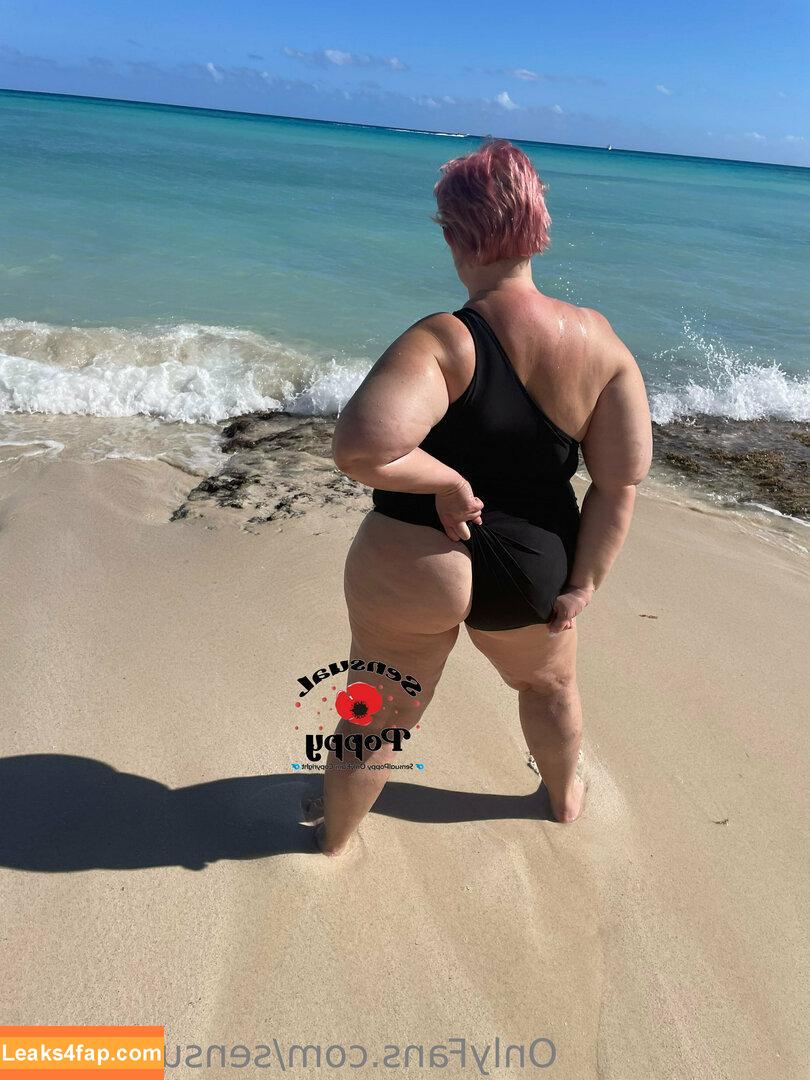 sensualpoppy / sensualpapi leaked photo photo #0041