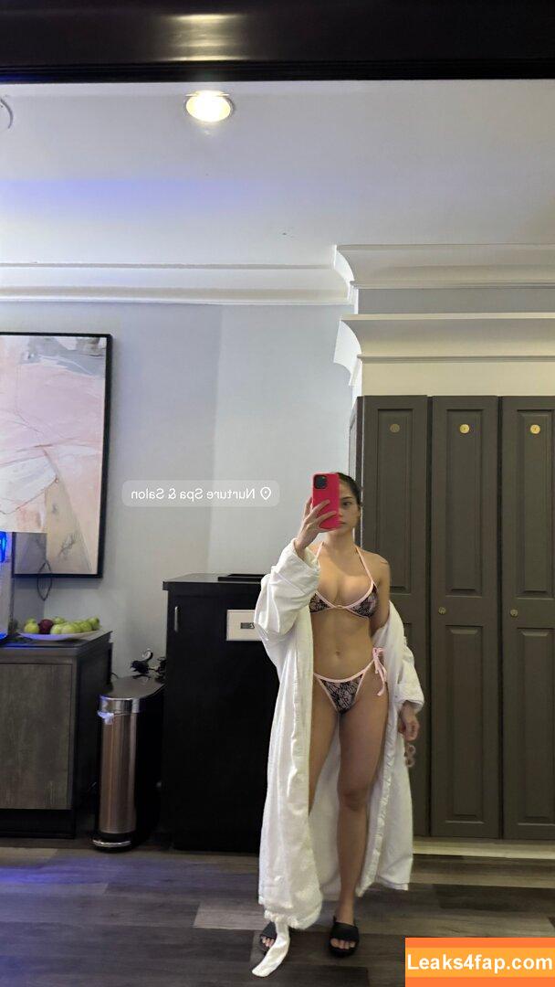 Sheenyberry / Berryshen leaked photo photo #0004