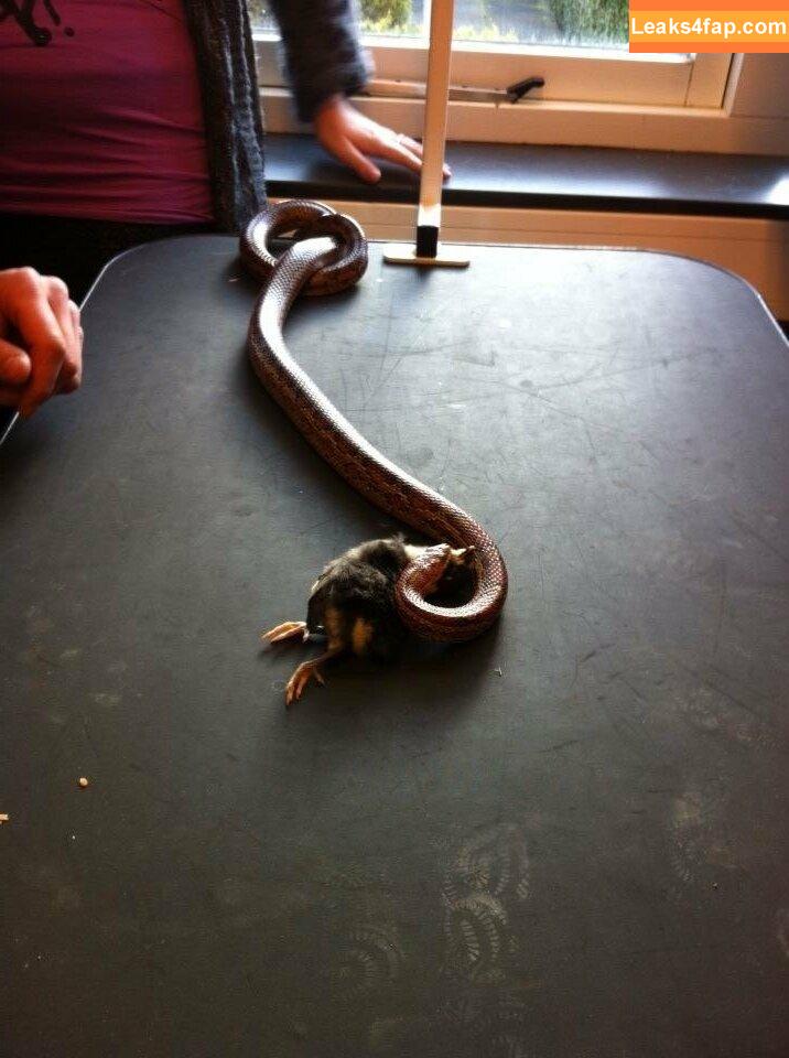 siswet19 / Siswet / siswetofficial leaked photo photo #0080