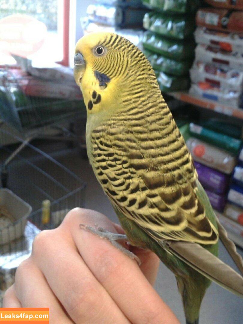 siswet19 / Siswet / siswetofficial leaked photo photo #0097