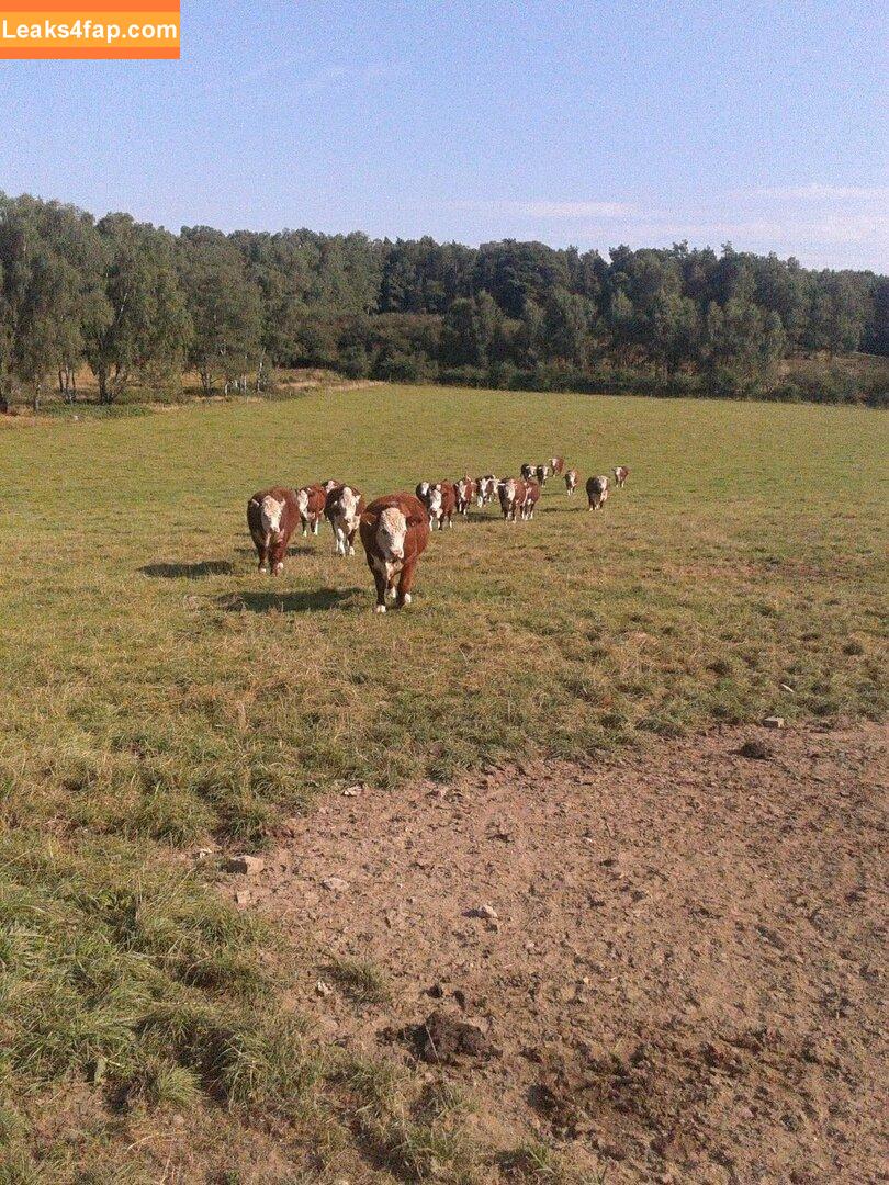 siswet19 / Siswet / siswetofficial leaked photo photo #0099