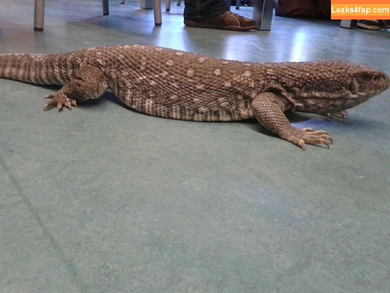 siswet19 / Siswet / siswetofficial leaked photo photo #0102