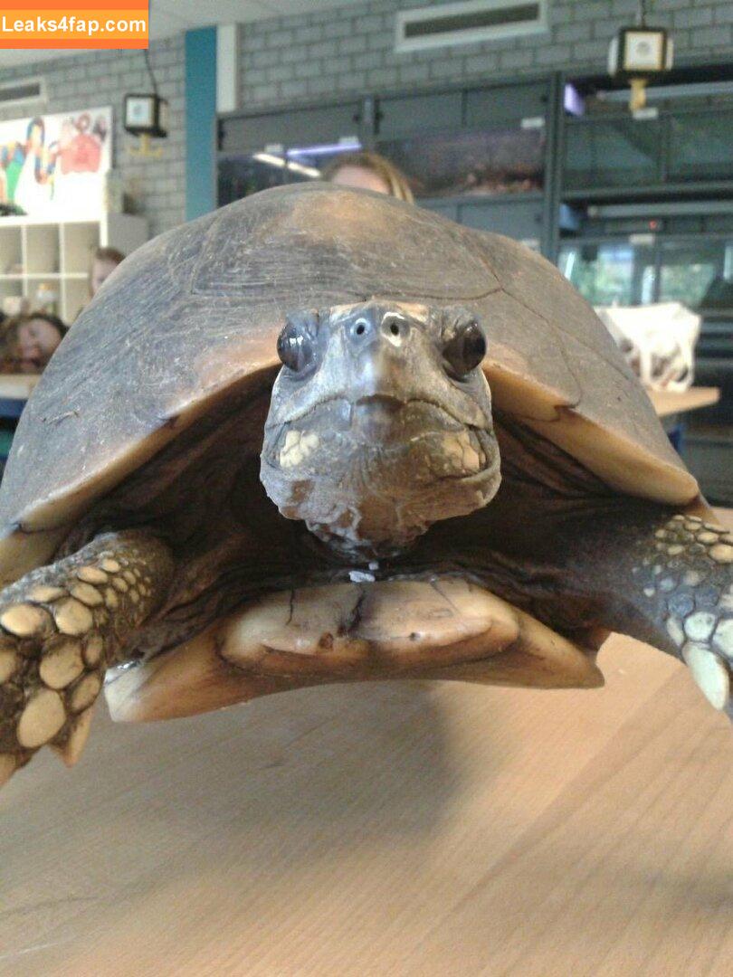 siswet19 / Siswet / siswetofficial leaked photo photo #0104