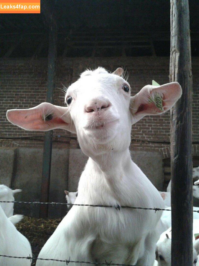 siswet19 / Siswet / siswetofficial leaked photo photo #0108