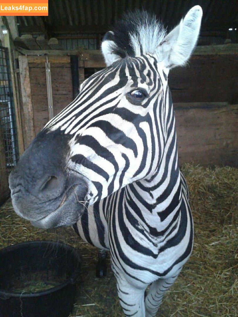 siswet19 / Siswet / siswetofficial leaked photo photo #0109