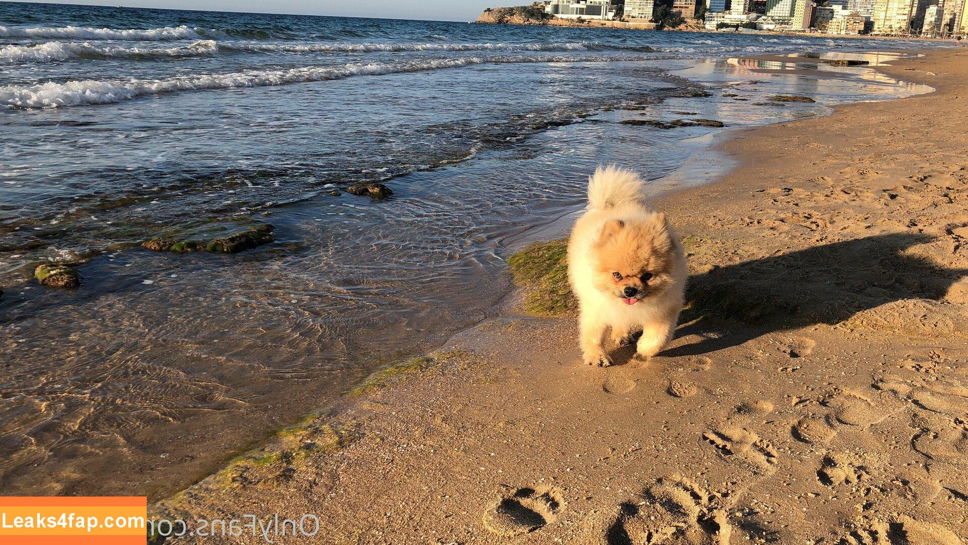 siswet19 / Siswet / siswetofficial leaked photo photo #0356