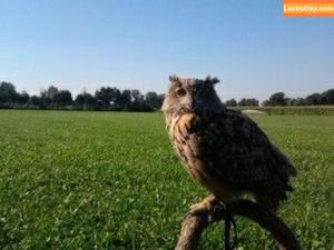 siswet19 photo #0487