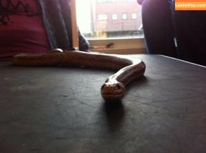 siswet19 photo #0504