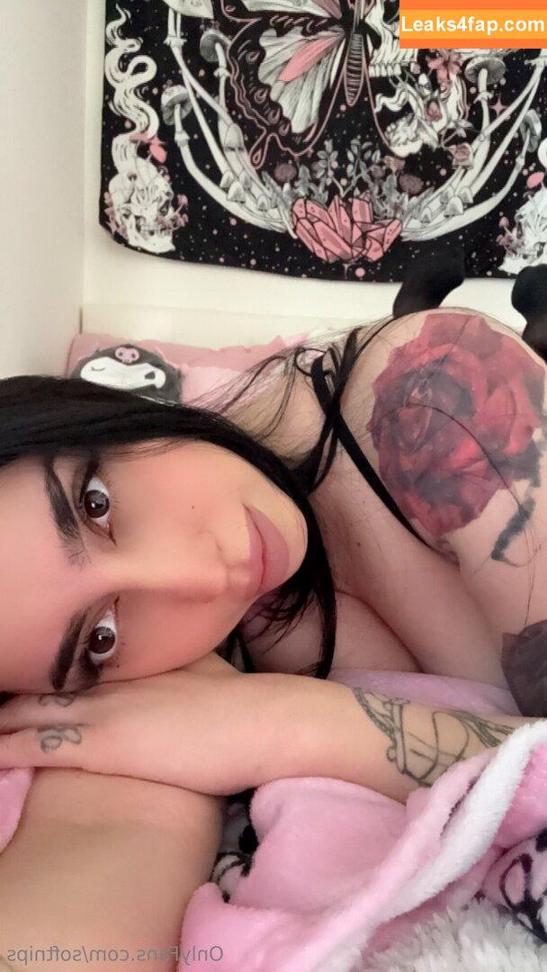 softnips / softtnips_ leaked photo photo #0013