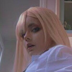 Spicycalamarii photo #0003