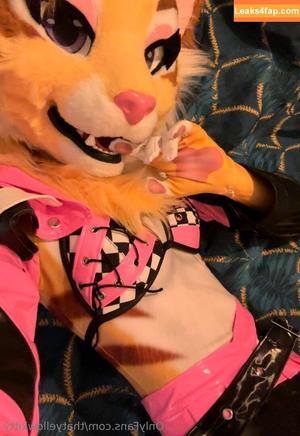 thatyellowkitty photo #0009