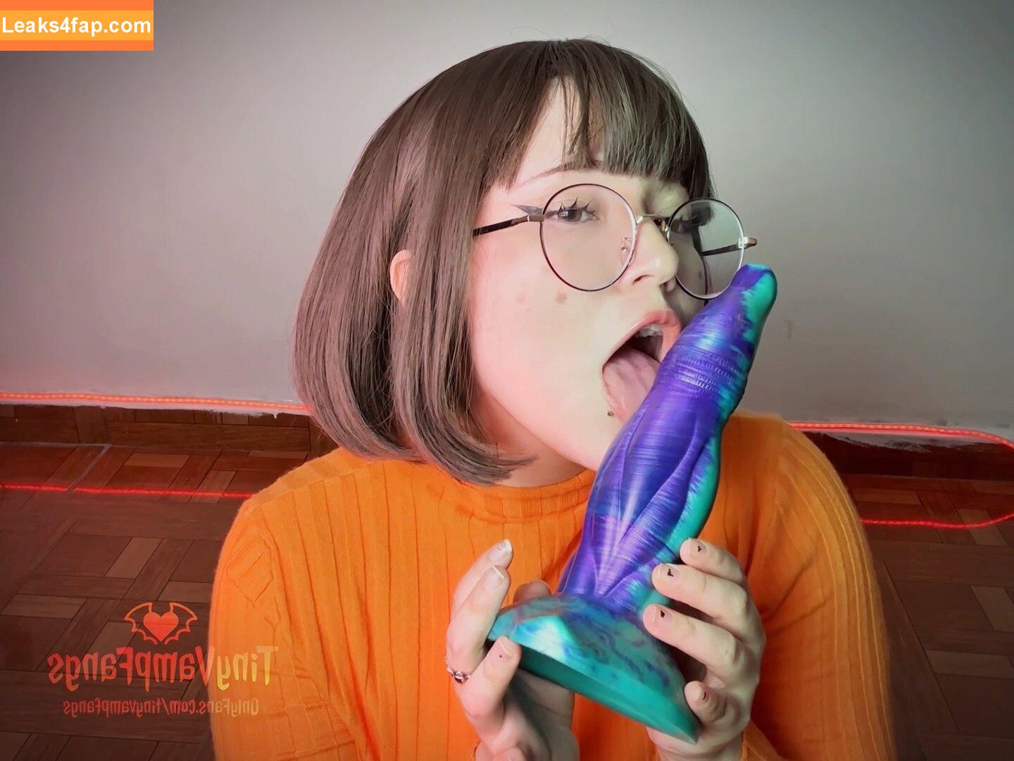Tinyvampfangs / Nico leaked photo photo #0204