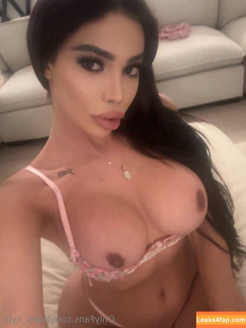 trans_nyla / nylacaselli leaked photo photo #0195
