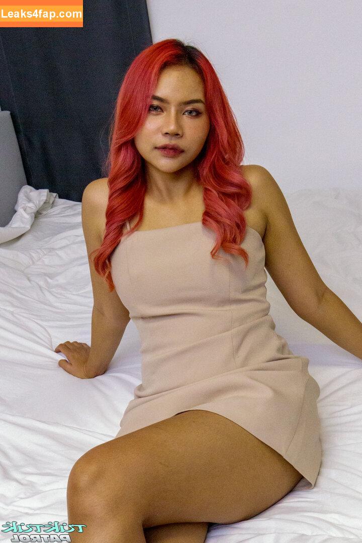 TukTuk Patrol / gttuktukpatrol leaked photo photo #0123
