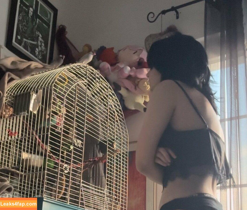 Vampyrisu / Kachirisu / Tori leaked photo photo #0002