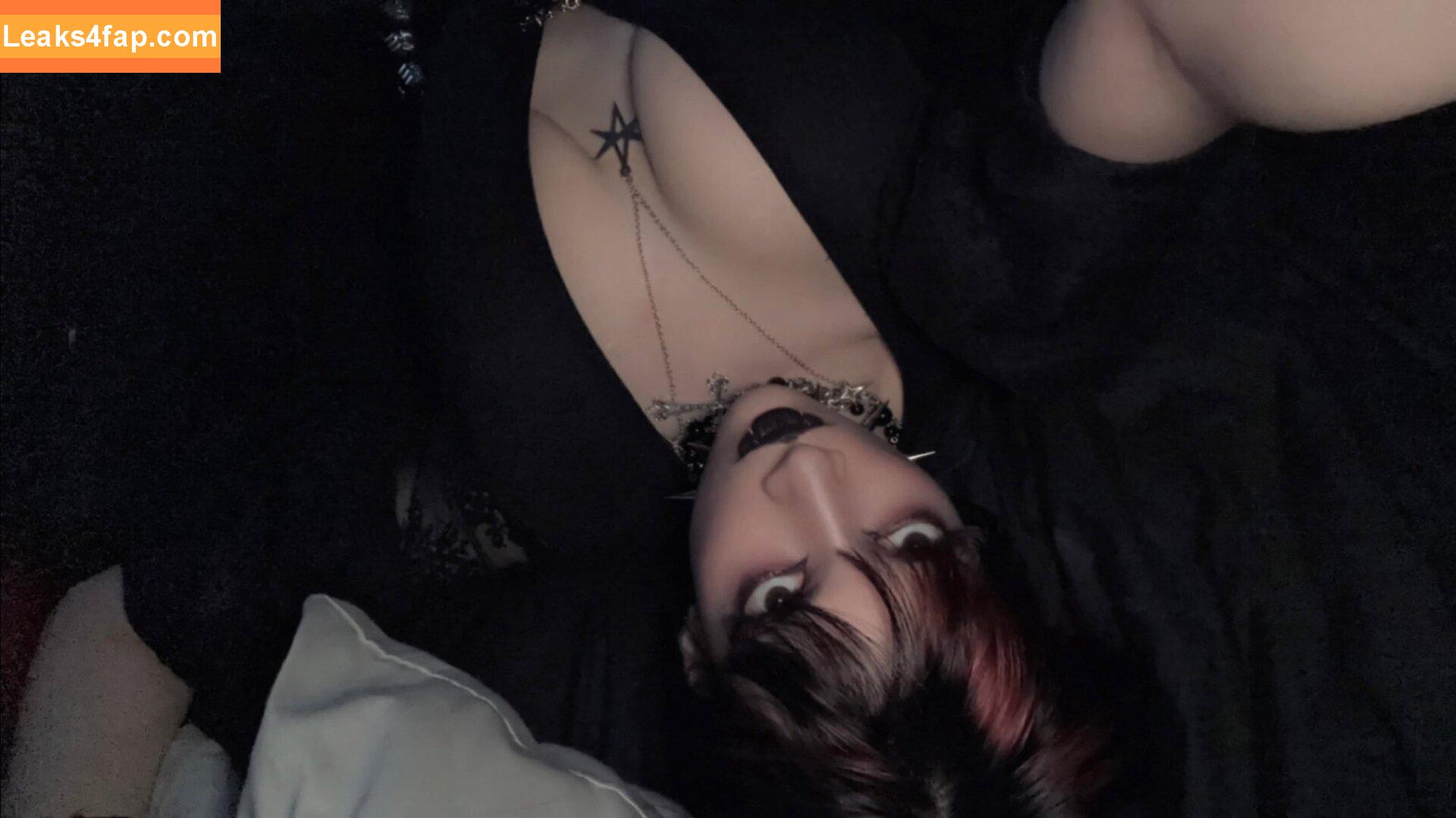 Vampyrisu / Kachirisu / Tori слитое фото фото #0036