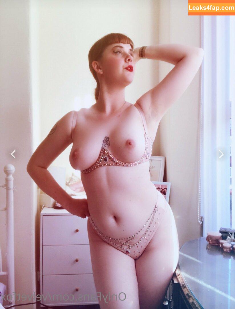 Velvet Fox / missvelvetfox / velvetfox leaked photo photo #0005