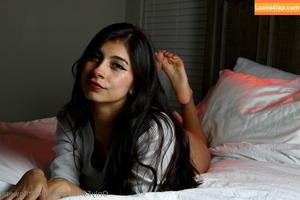 Violetttflowers photo #0028