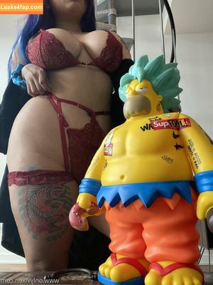 Vixenvu photo #0023