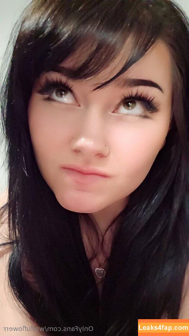 waifuflowerr / rewolfmi leaked photo photo #0030